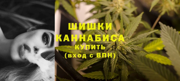2c-b Богородицк
