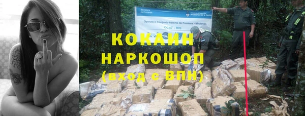 прущие крисы Болохово