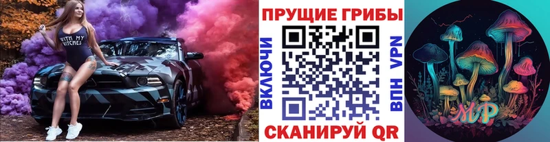 Галлюциногенные грибы Psilocybe Купино